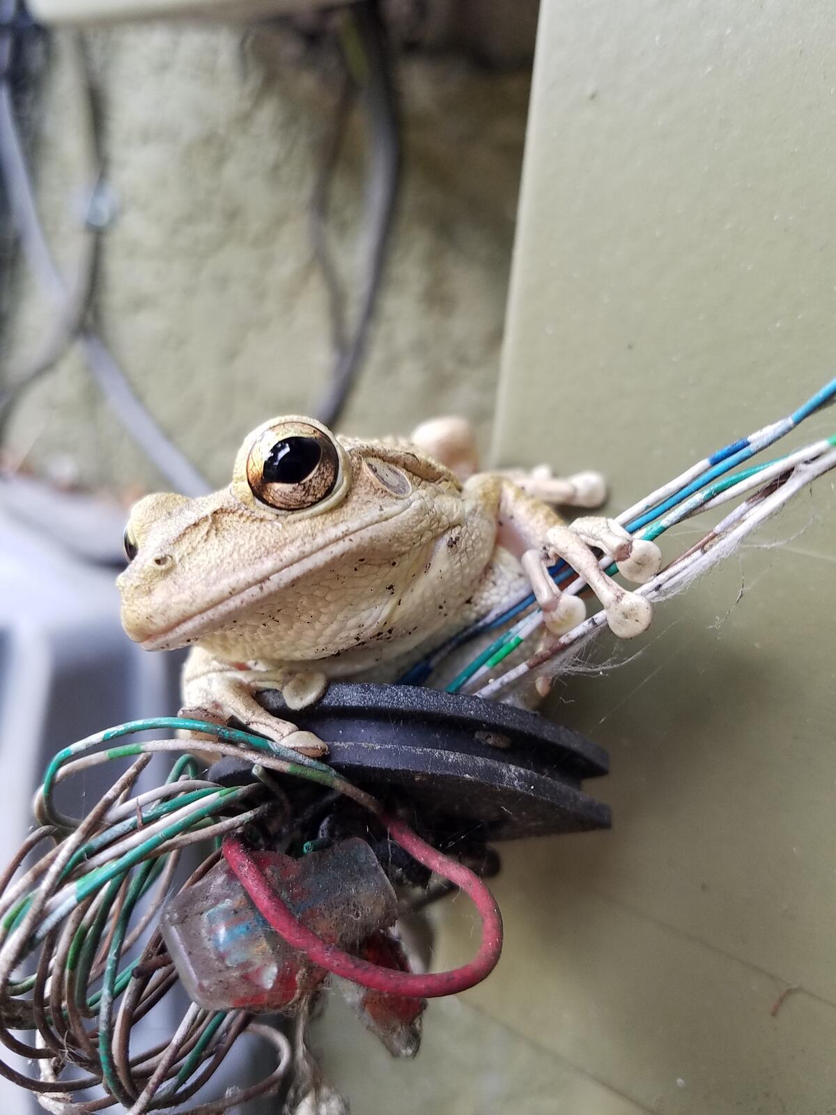 Photo credit: nextdoor