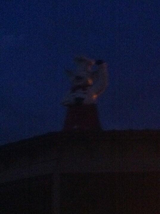 Photo credit: nextdoor