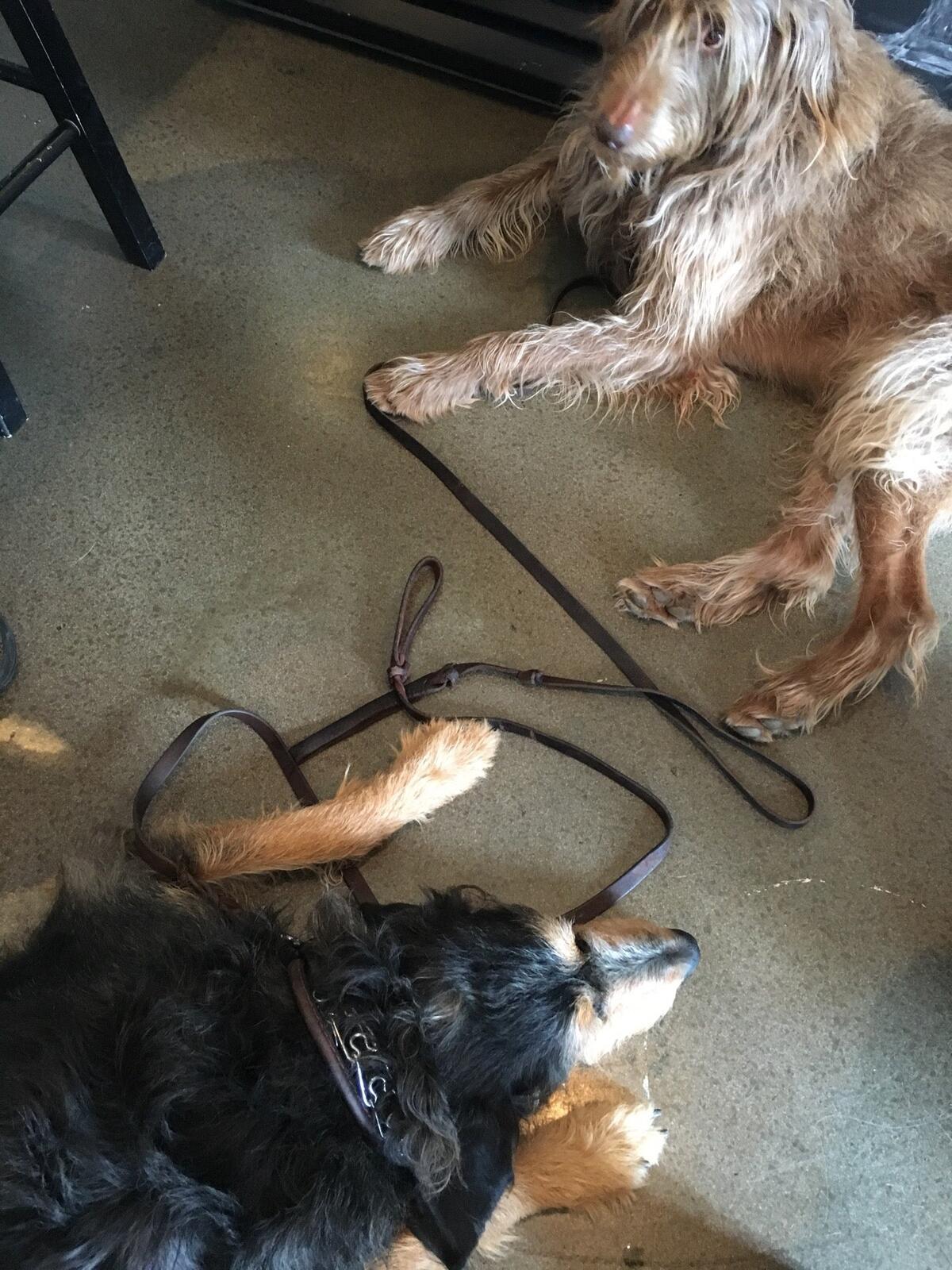 Photo credit: nextdoor