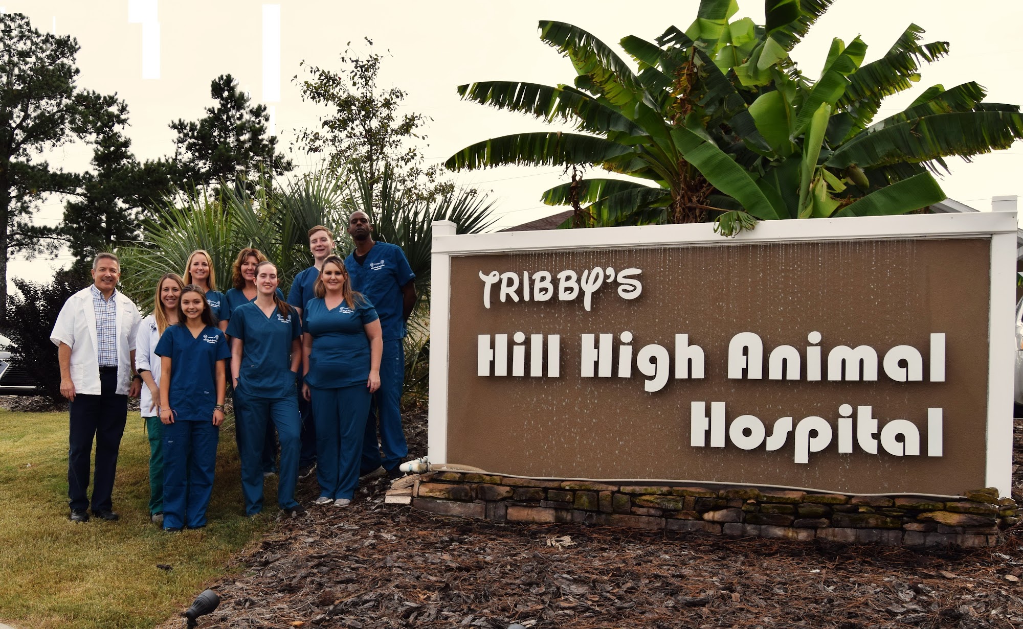 Tribby’s Hill High Animal Hospital