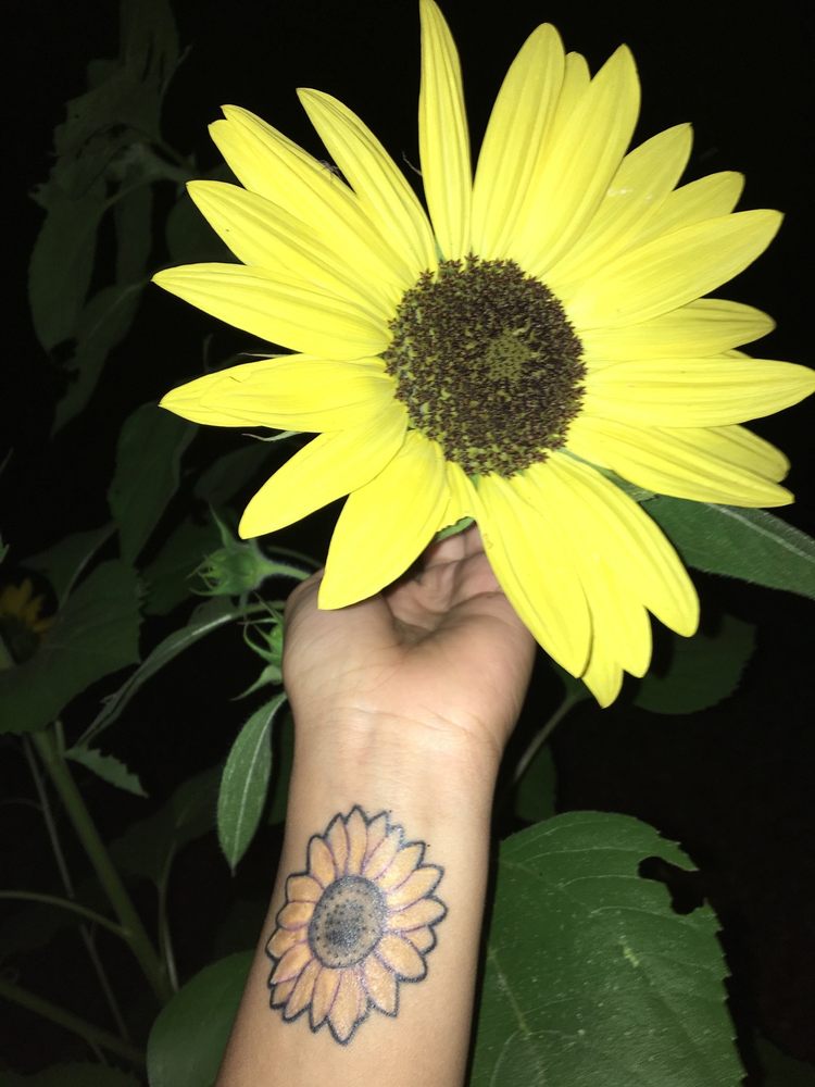 Photo credit: 