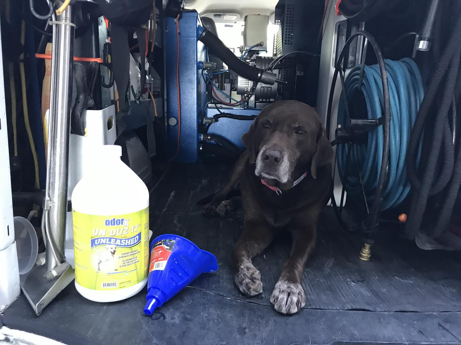 Photo credit: nextdoor