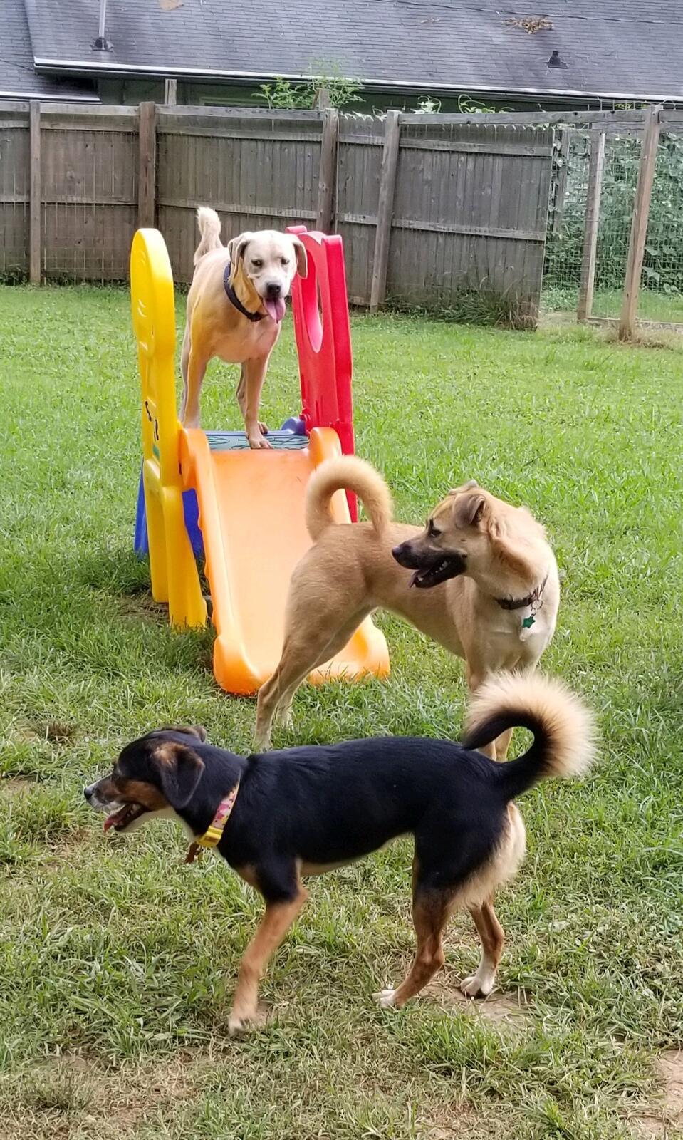 Photo credit: nextdoor