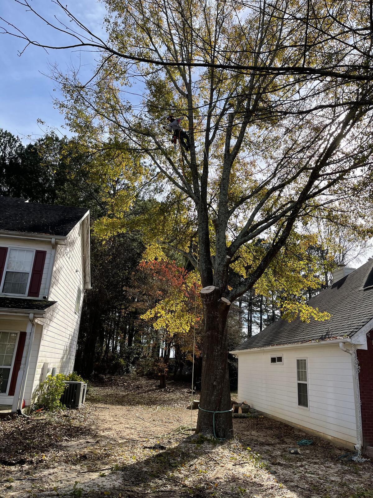 Photo credit: nextdoor