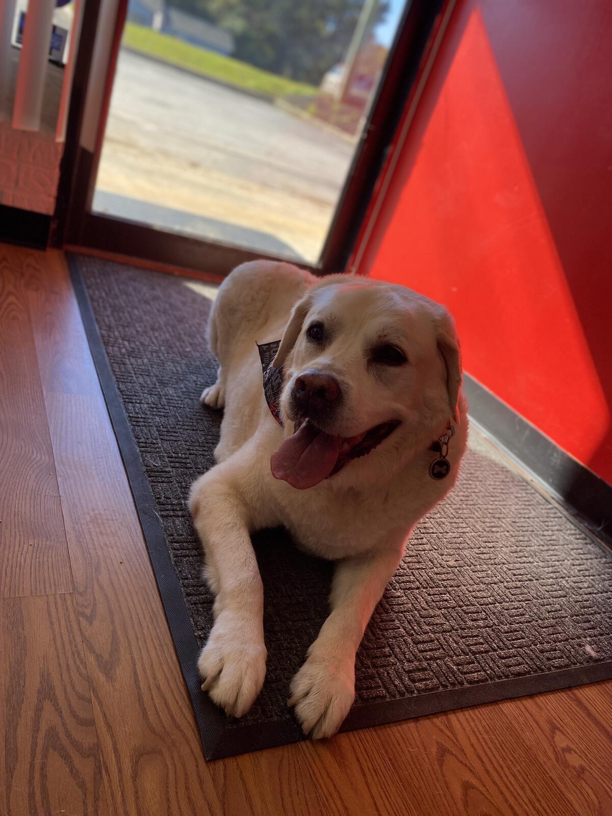 Photo credit: nextdoor