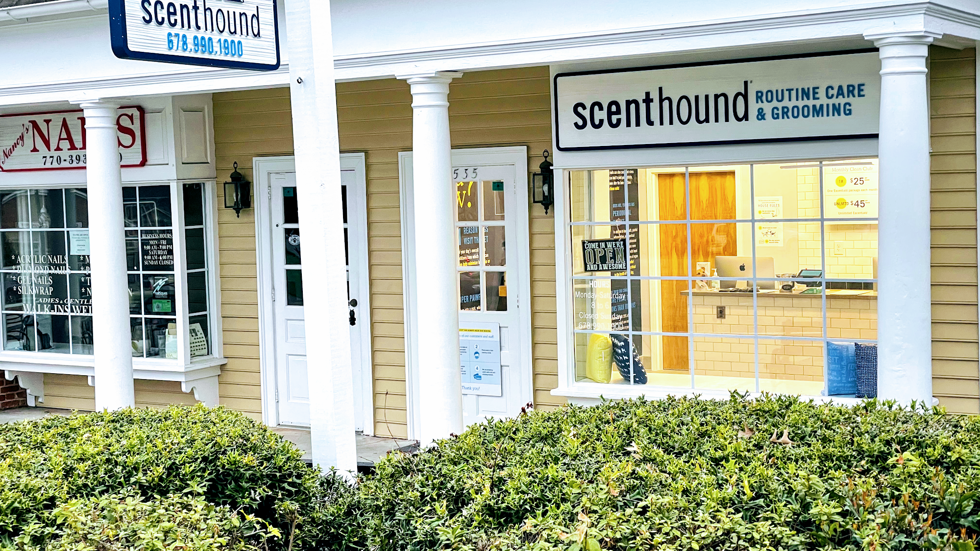 Scenthound Dunwoody