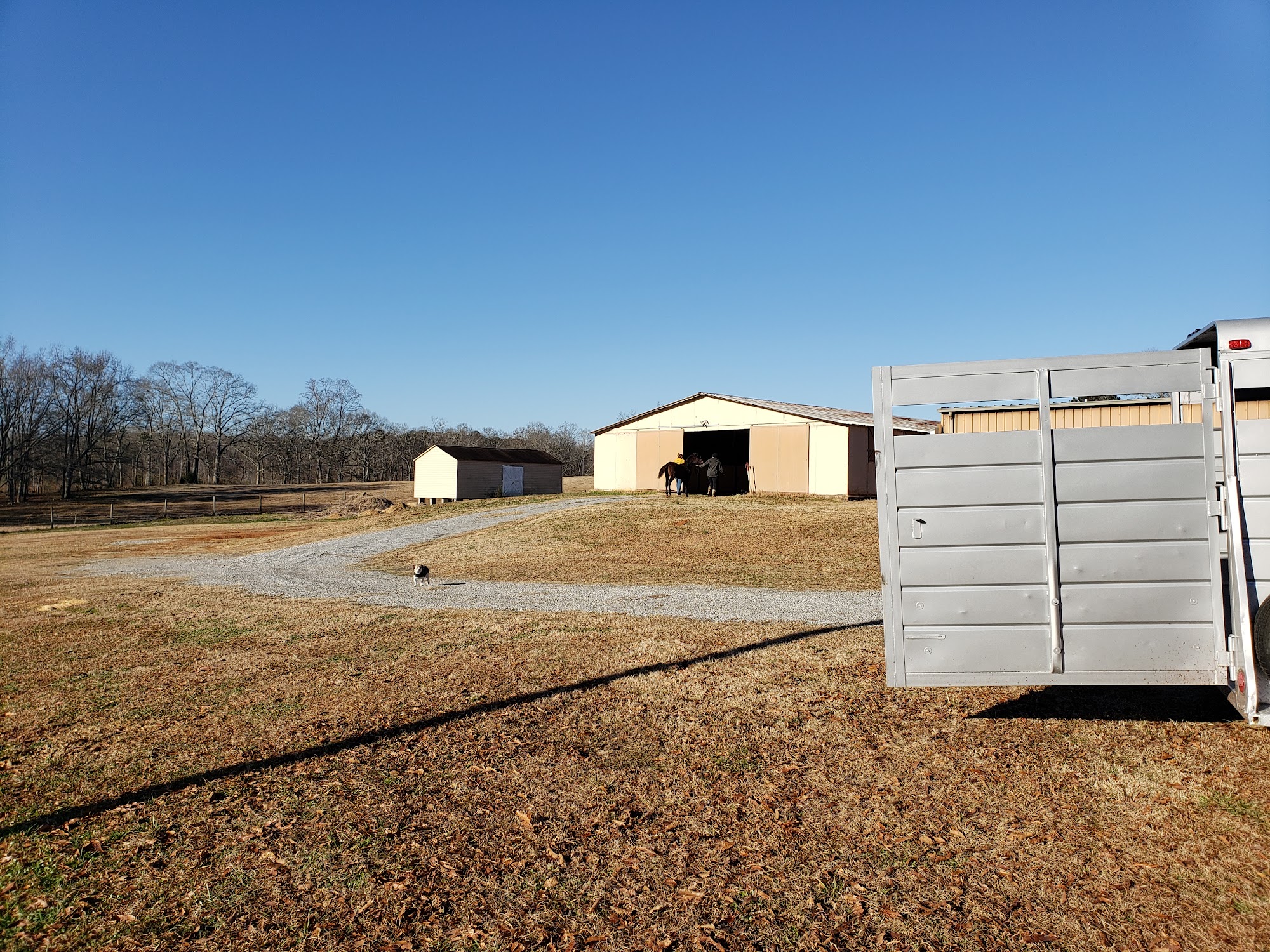 Fulton Equine Clinic