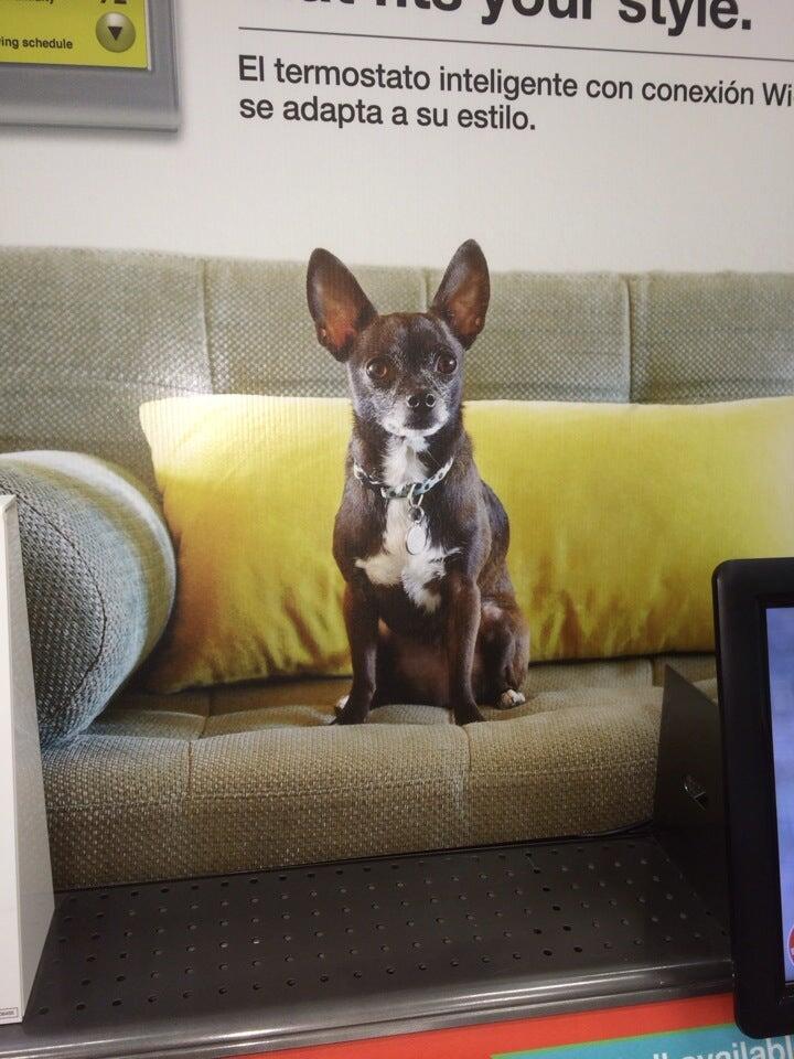 Photo credit: nextdoor