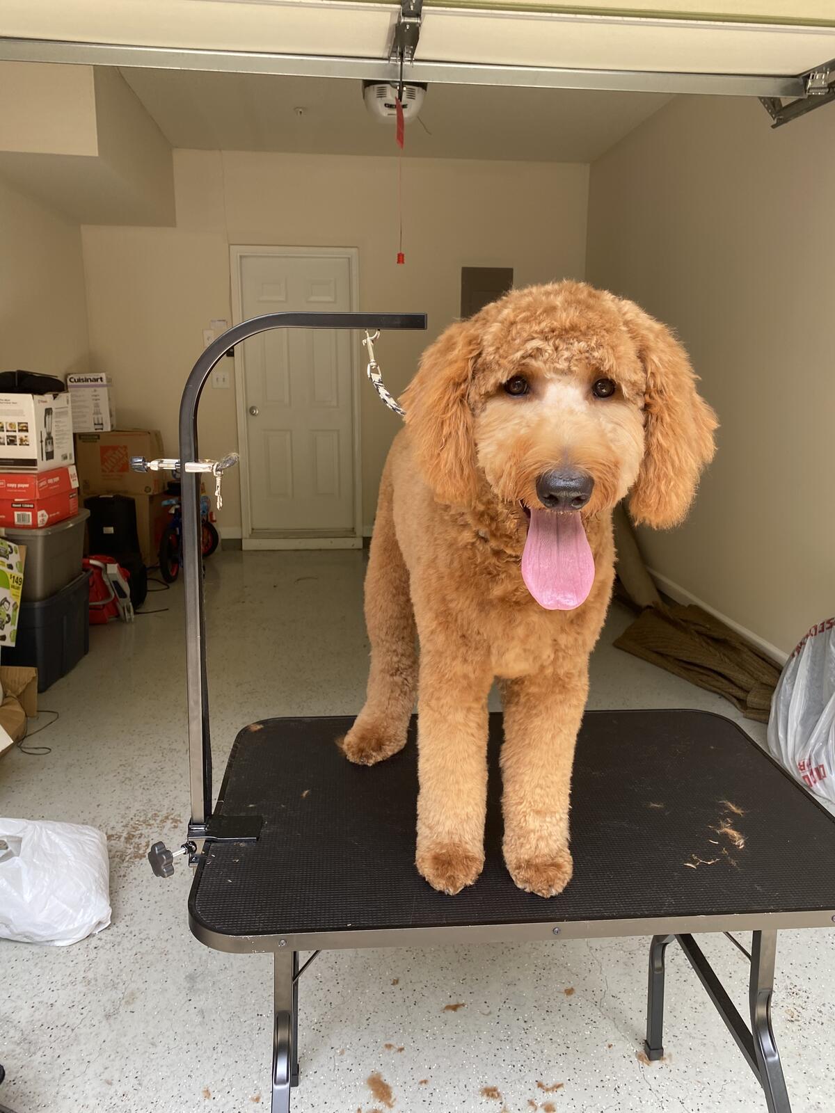 Photo credit: nextdoor