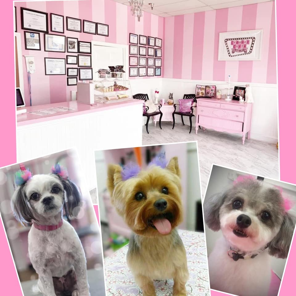 Groomer Girls Pet Salon