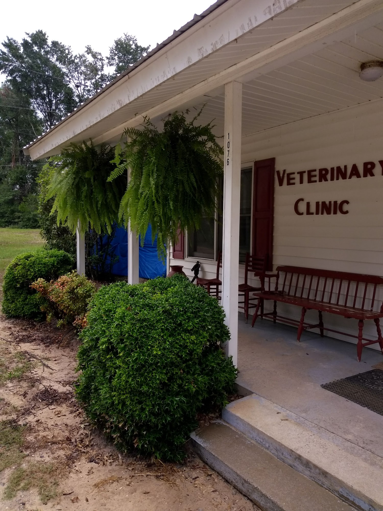 Ogeechee Veterinary Associates PC