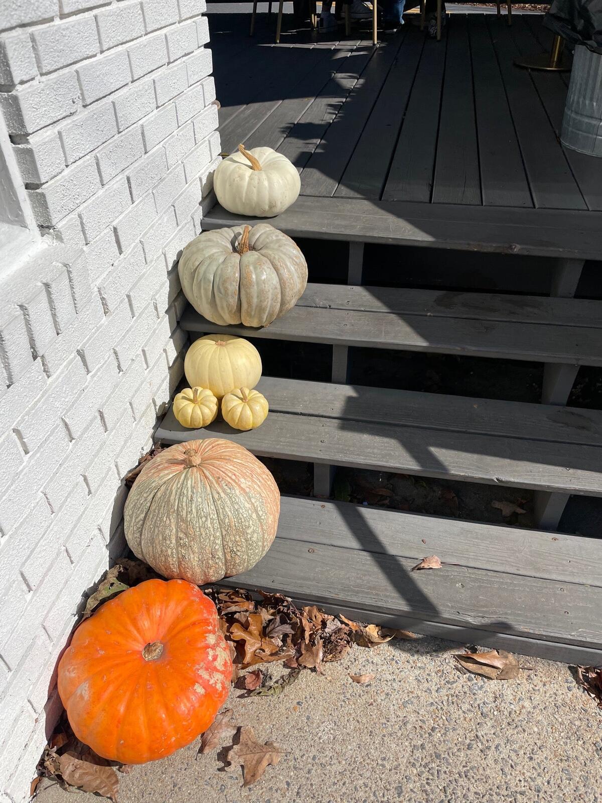 Photo credit: nextdoor