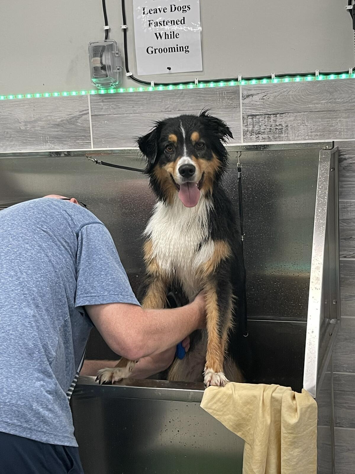 Photo credit: nextdoor