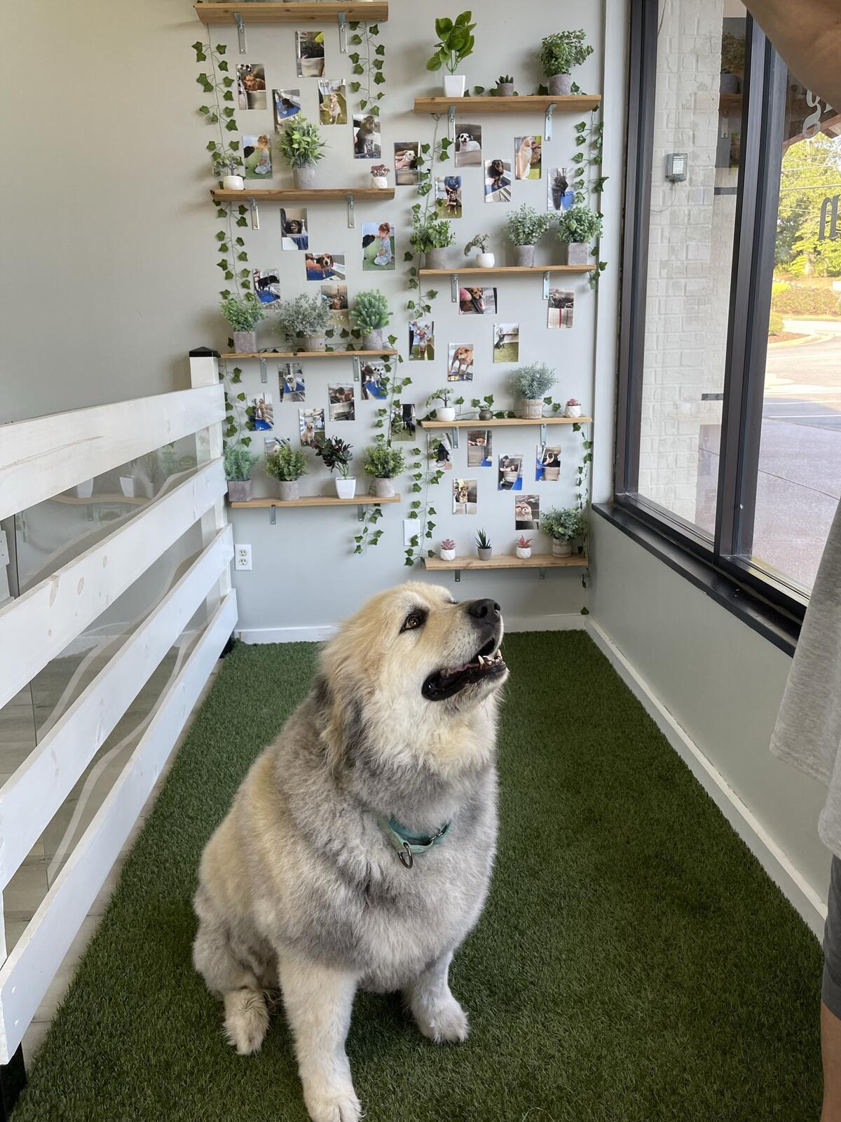 Photo credit: nextdoor