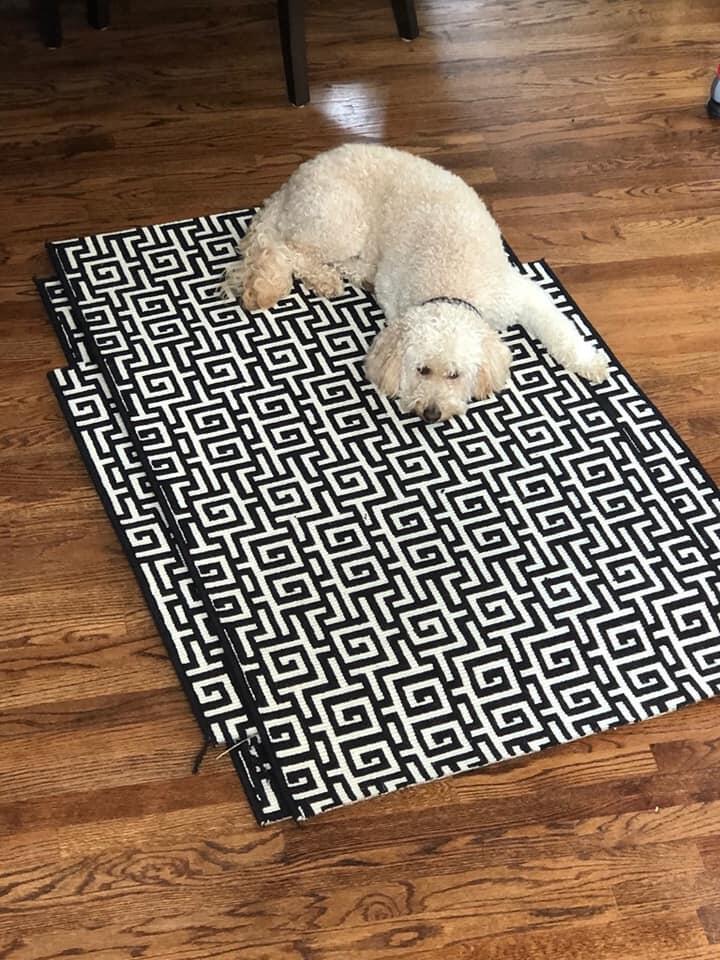 Photo credit: nextdoor