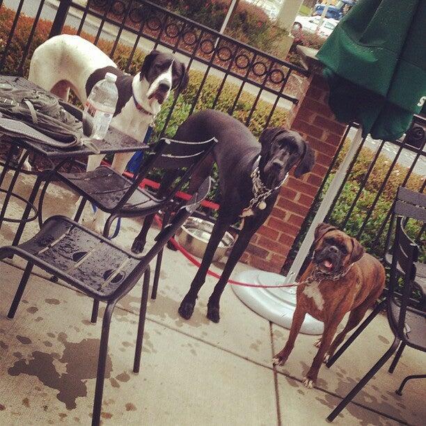 Photo credit: nextdoor