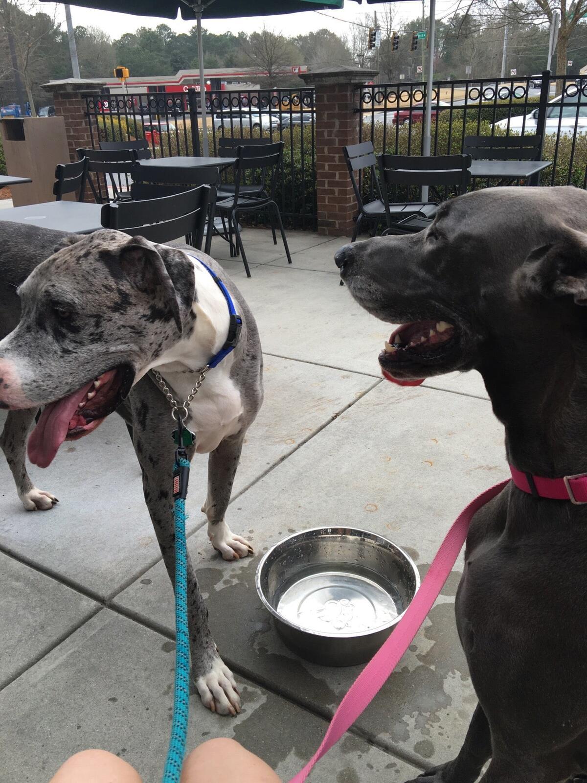 Photo credit: nextdoor