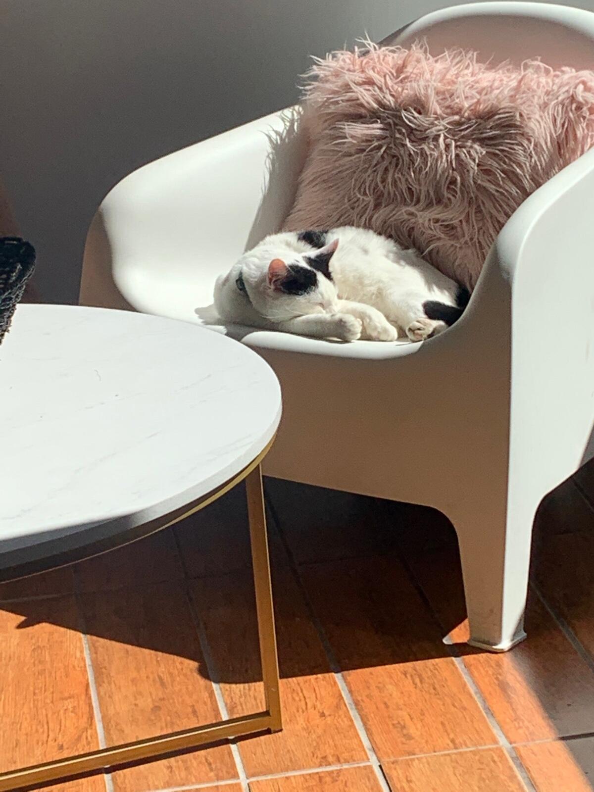 Photo credit: nextdoor