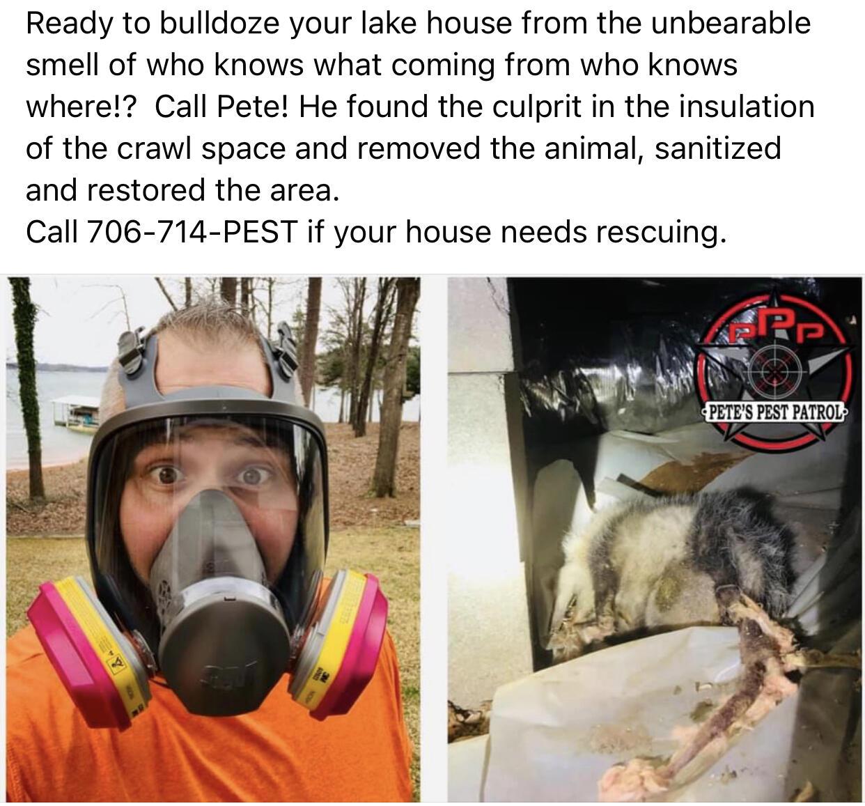 Photo credit: nextdoor