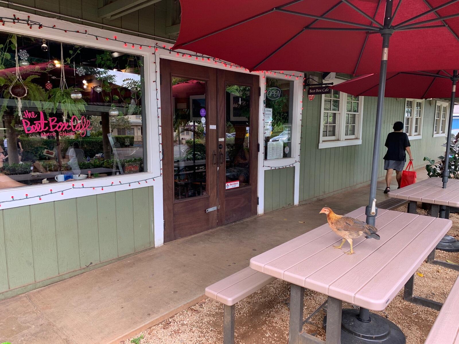 Photo credit: nextdoor