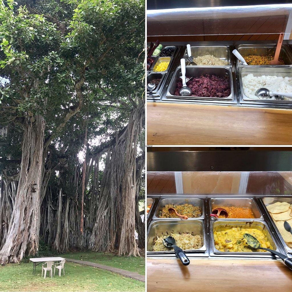 Photo credit: happycow