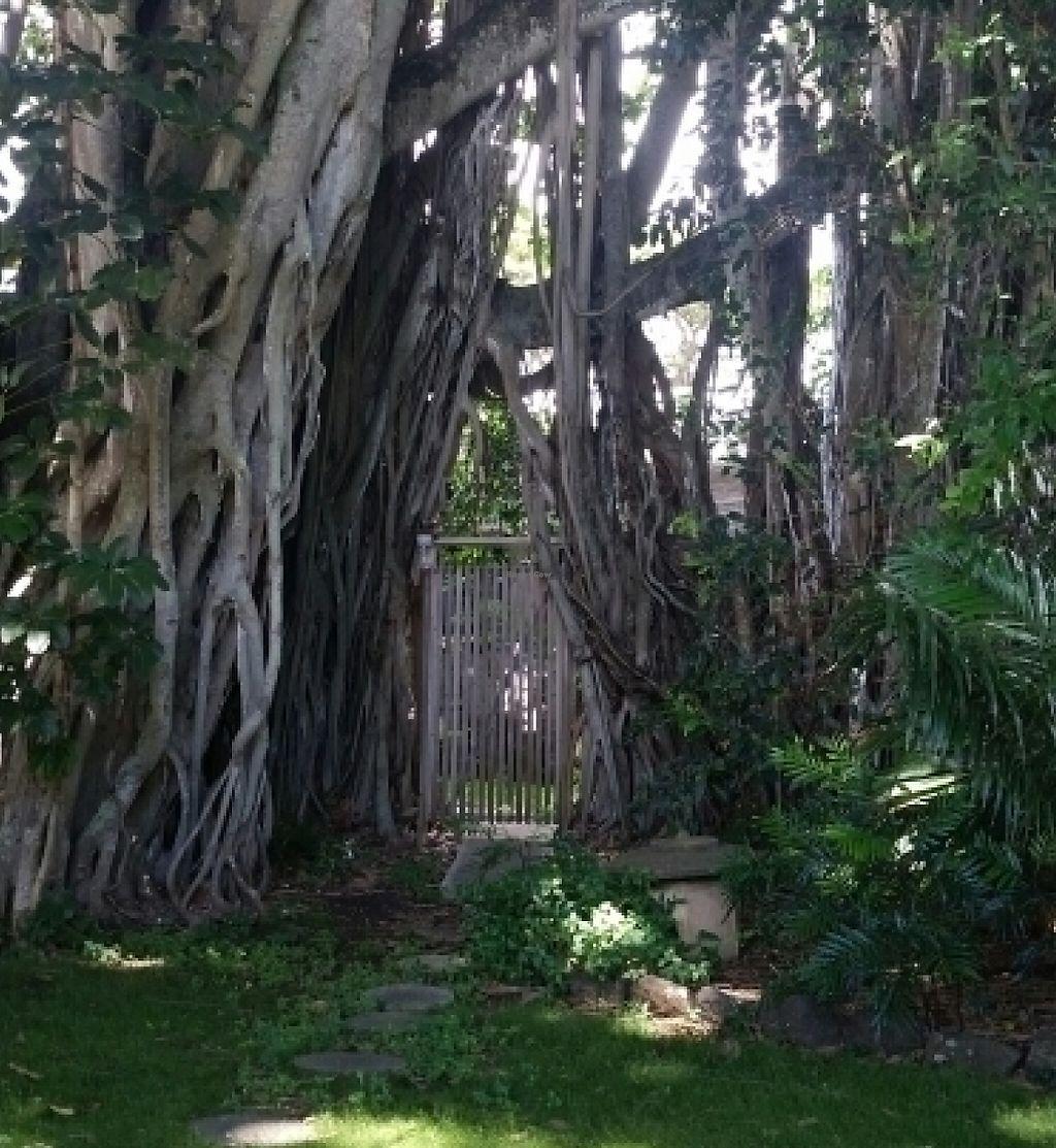 Photo credit: happycow