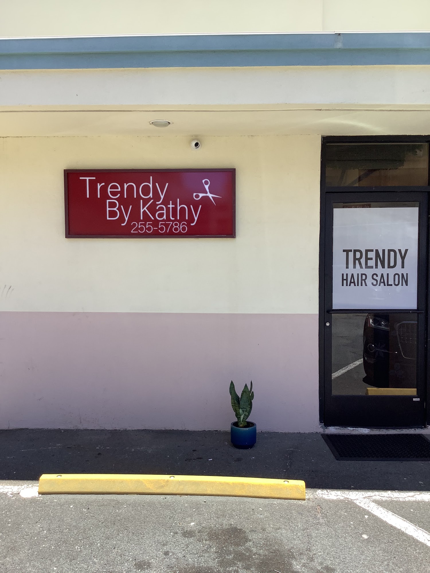 Trendy by Kathy