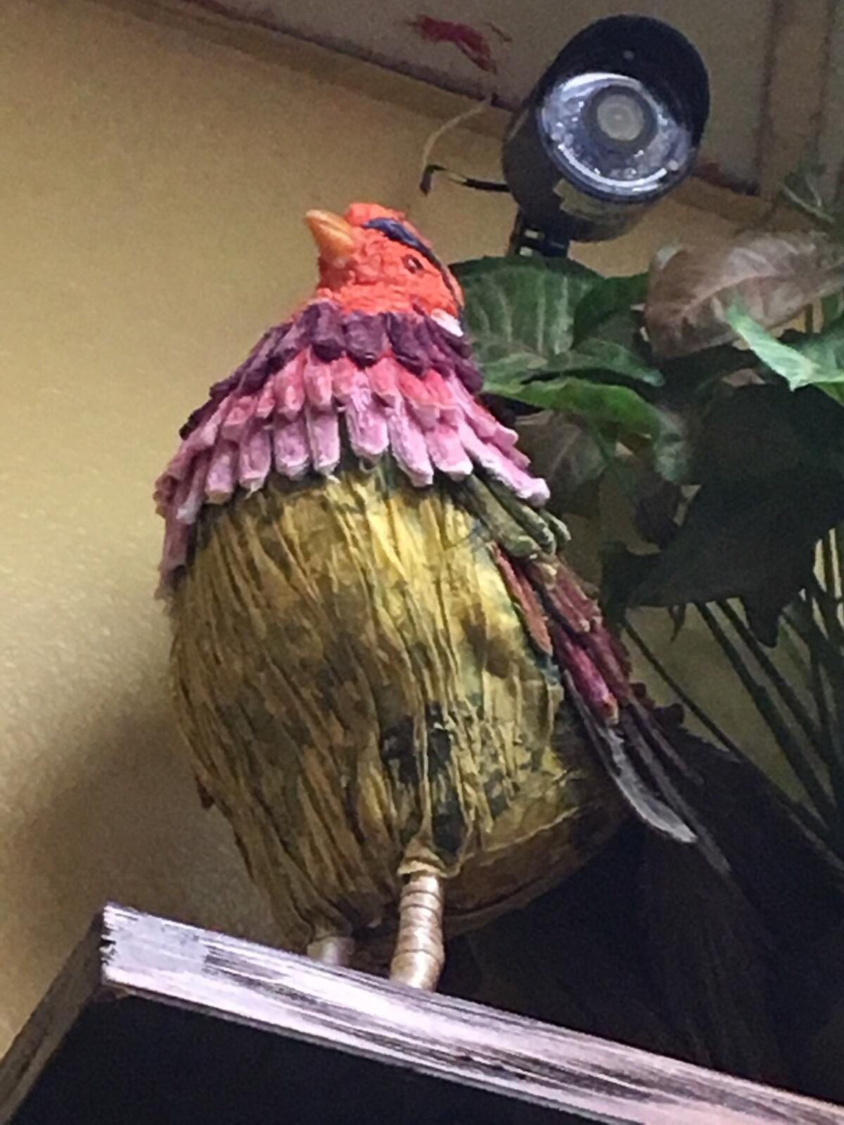 Photo credit: nextdoor