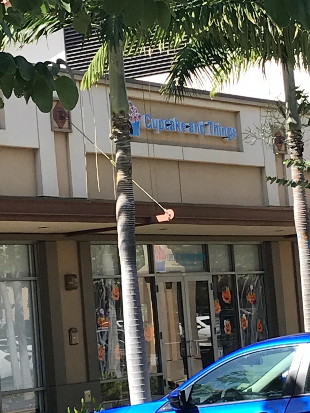 Photo credit: nextdoor