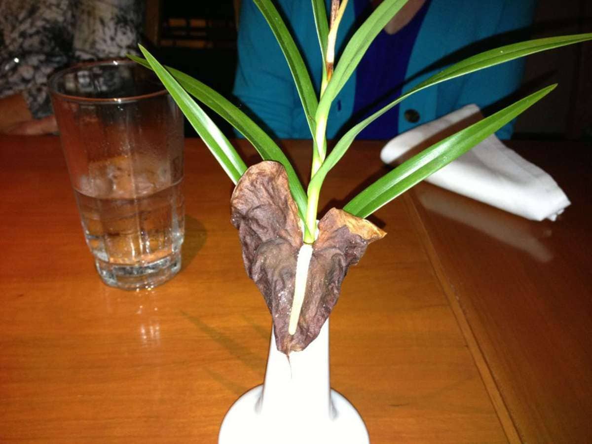 Photo credit: zomato