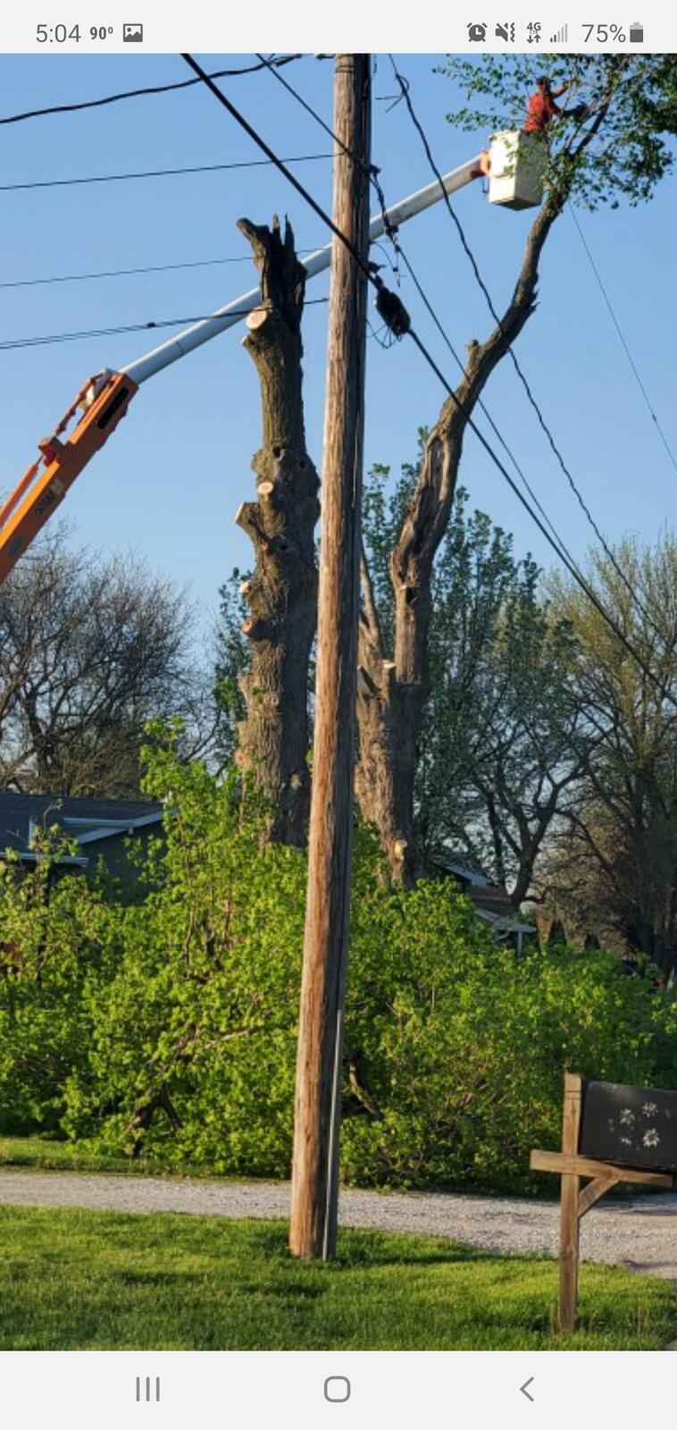 Photo credit: nextdoor