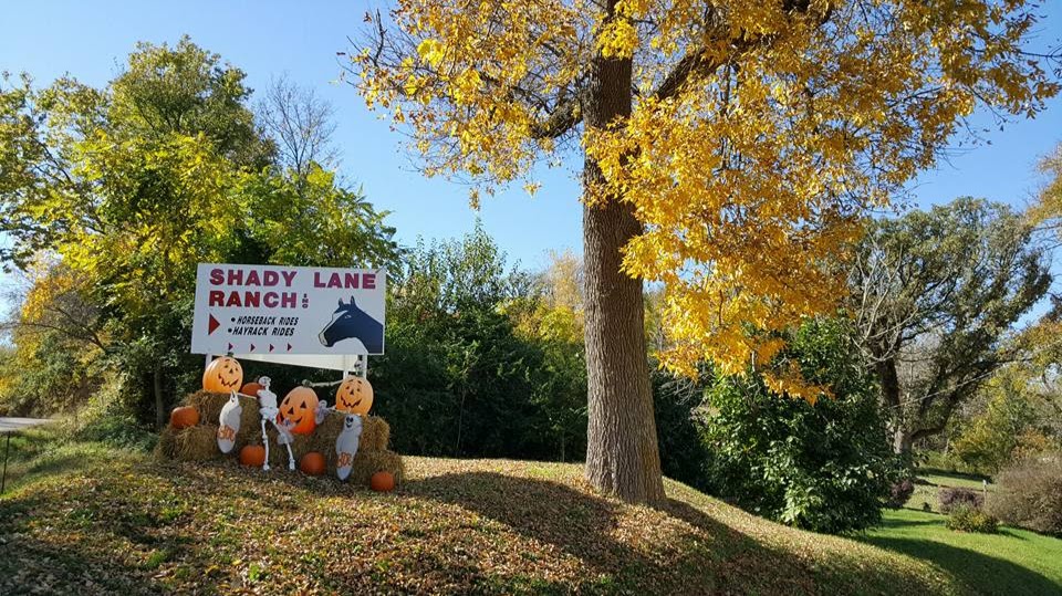 Shady Lane Ranch, Inc.