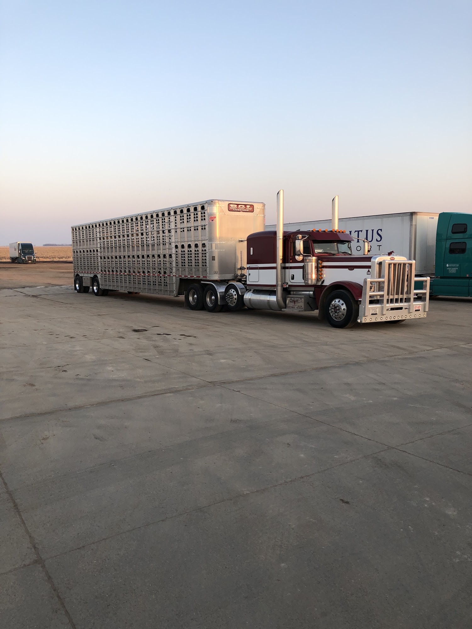 BGL Livestock Trucking LLC