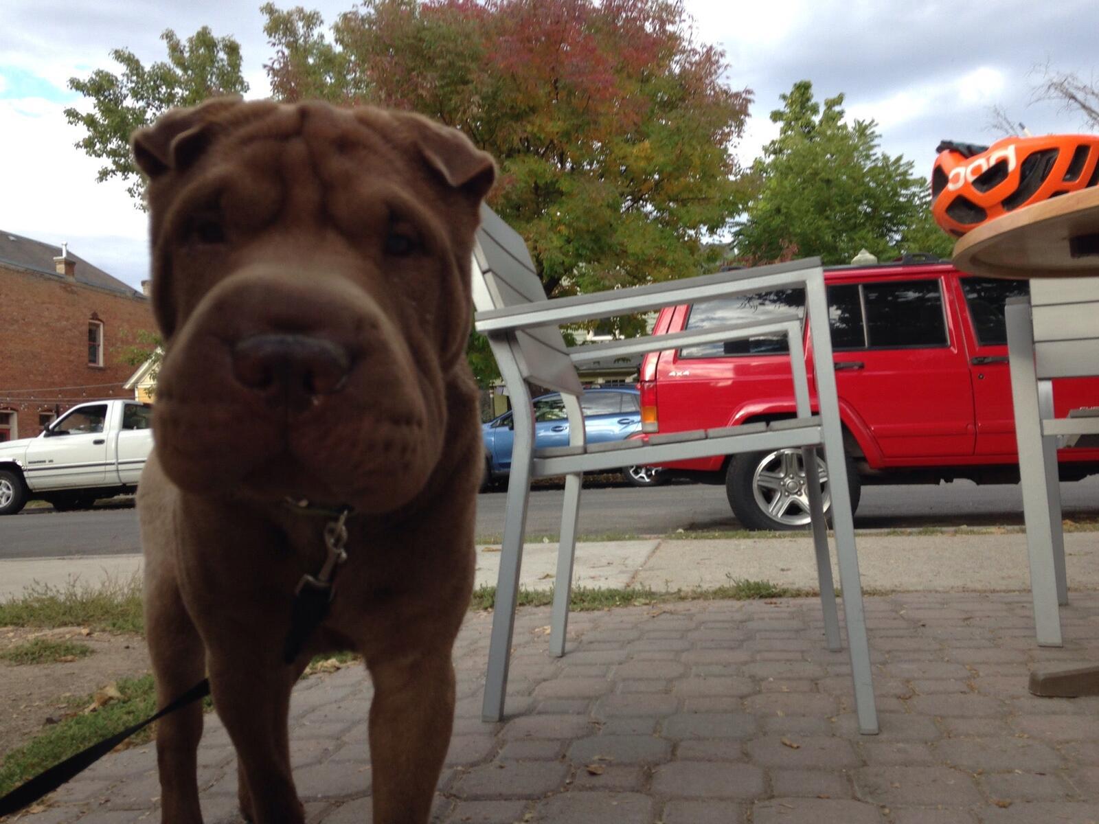 Photo credit: nextdoor