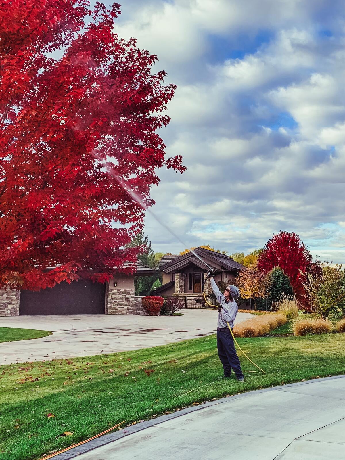 Photo credit: nextdoor