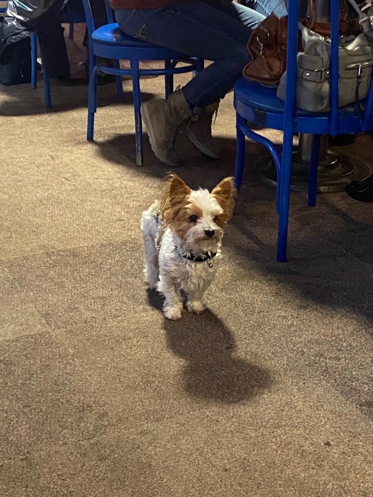 Photo credit: nextdoor