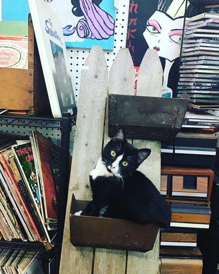 Photo credit: nextdoor