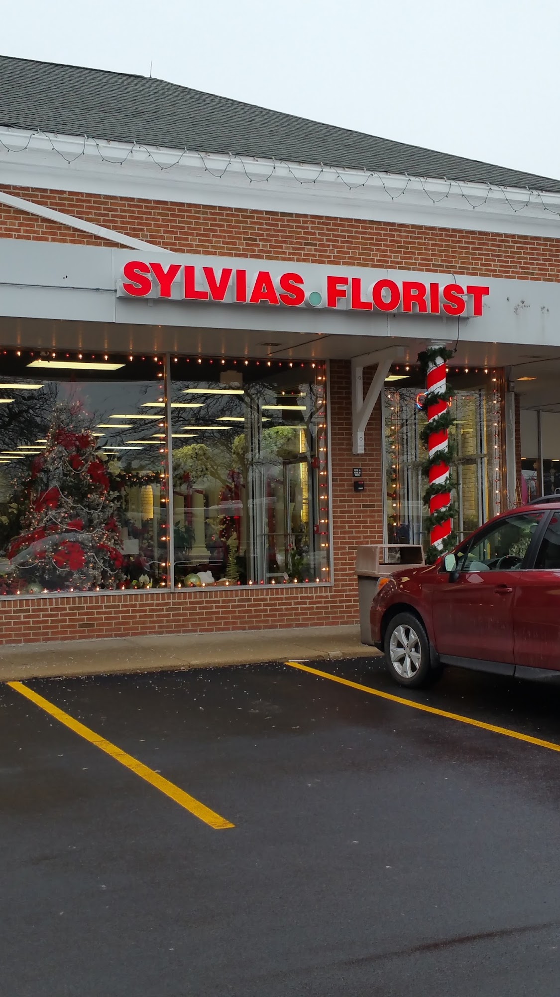 Sylvia's - Amling's Flowers