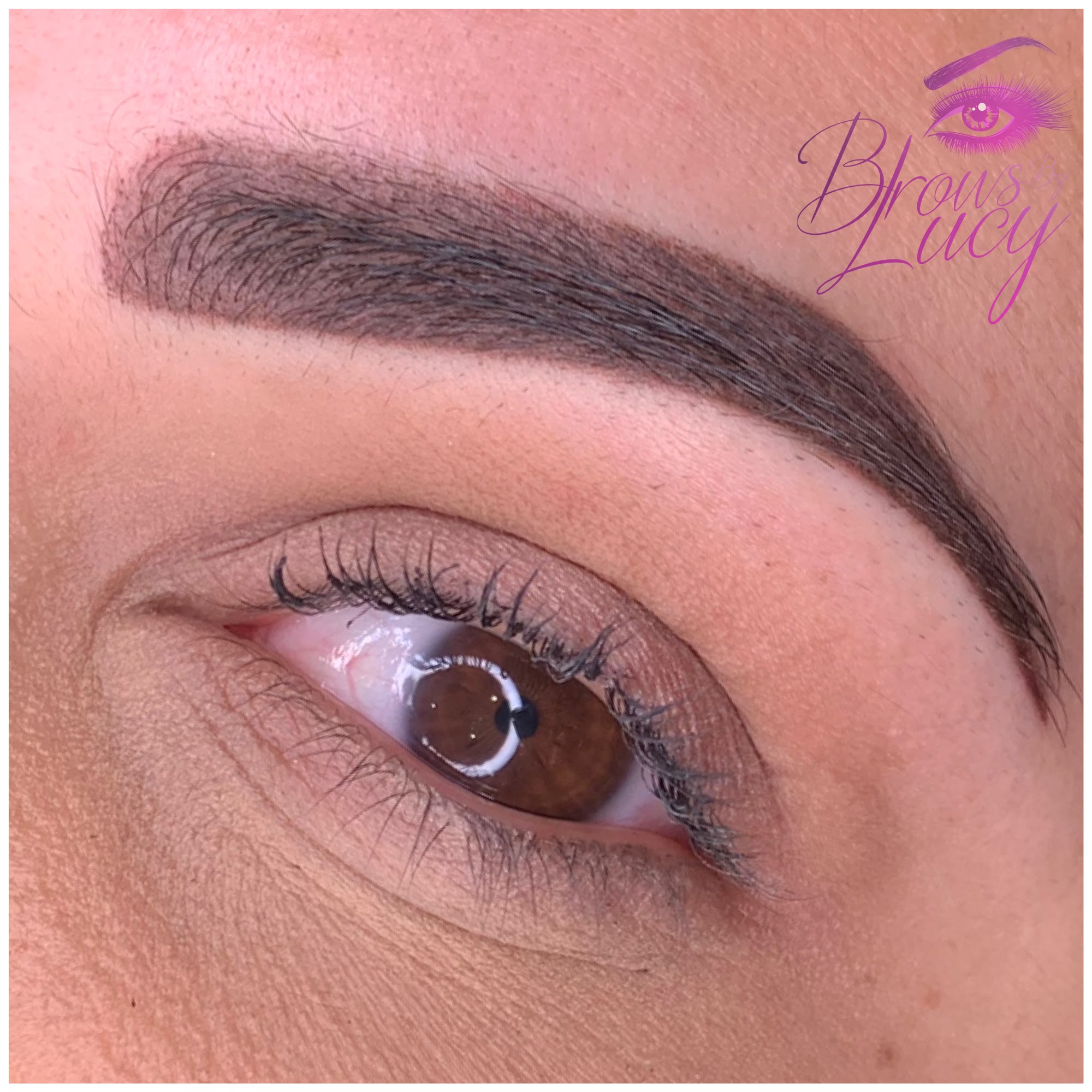Brows By Lucy