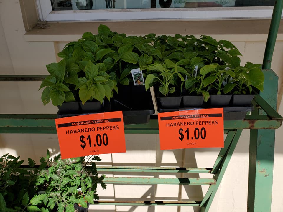 BUSHNELL MARKET 1001 Cole St, Bushnell IL Hours, Directions