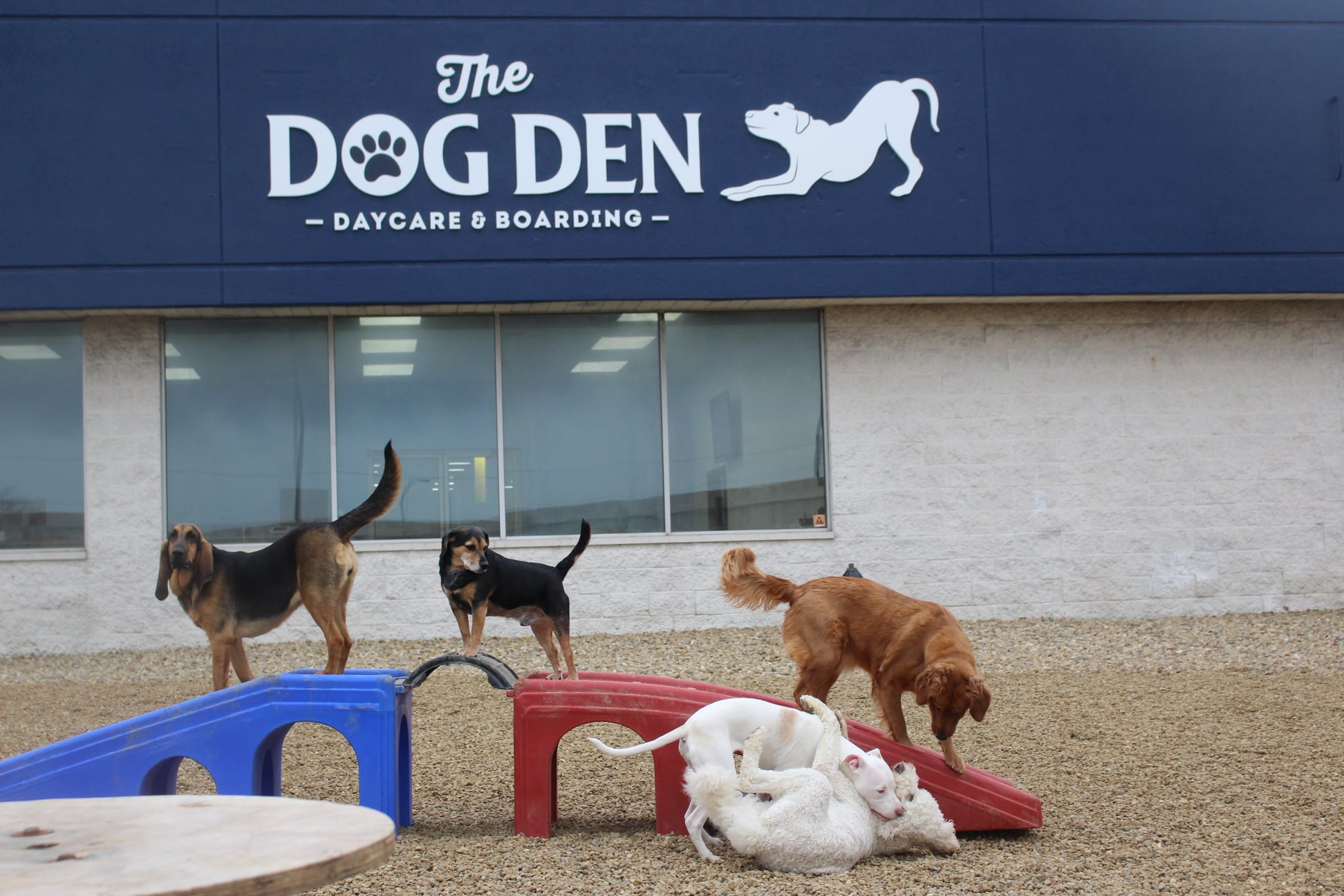 The Dog Den