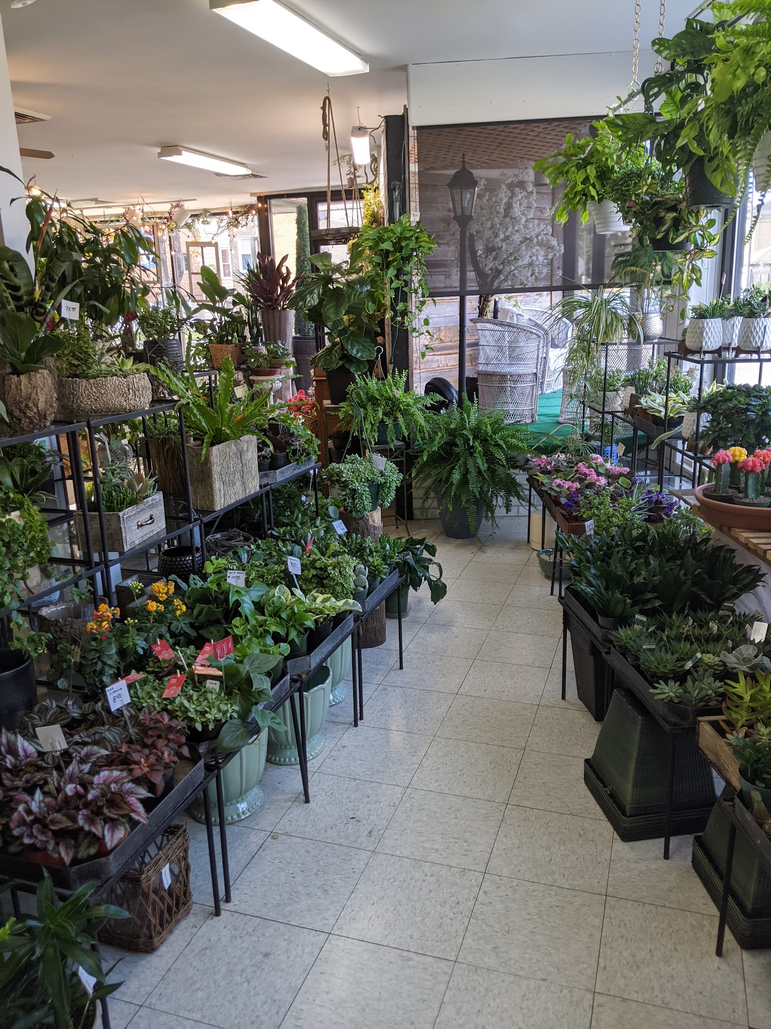 Wall's Flower Shop, Inc.