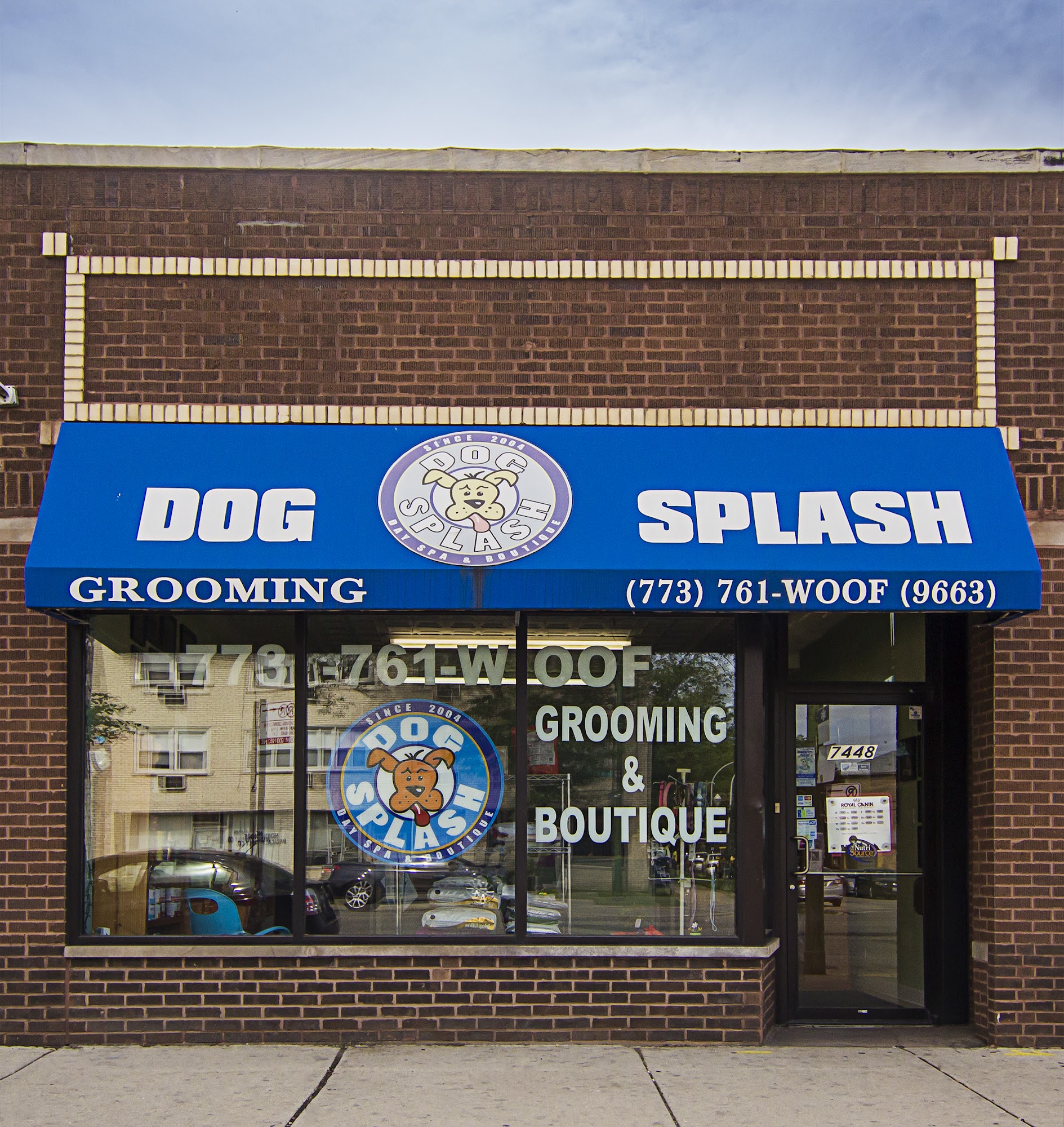 Dog Splash