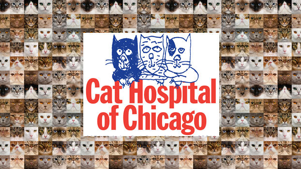 VCA Cat Hospital of Chicago