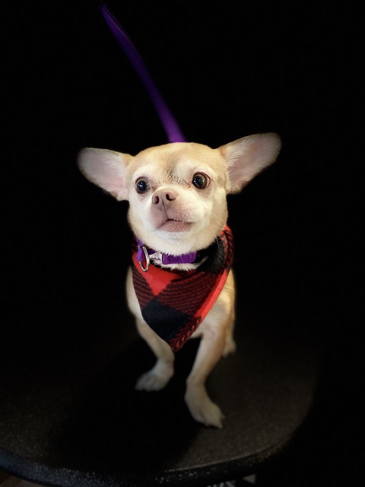 Photo credit: 