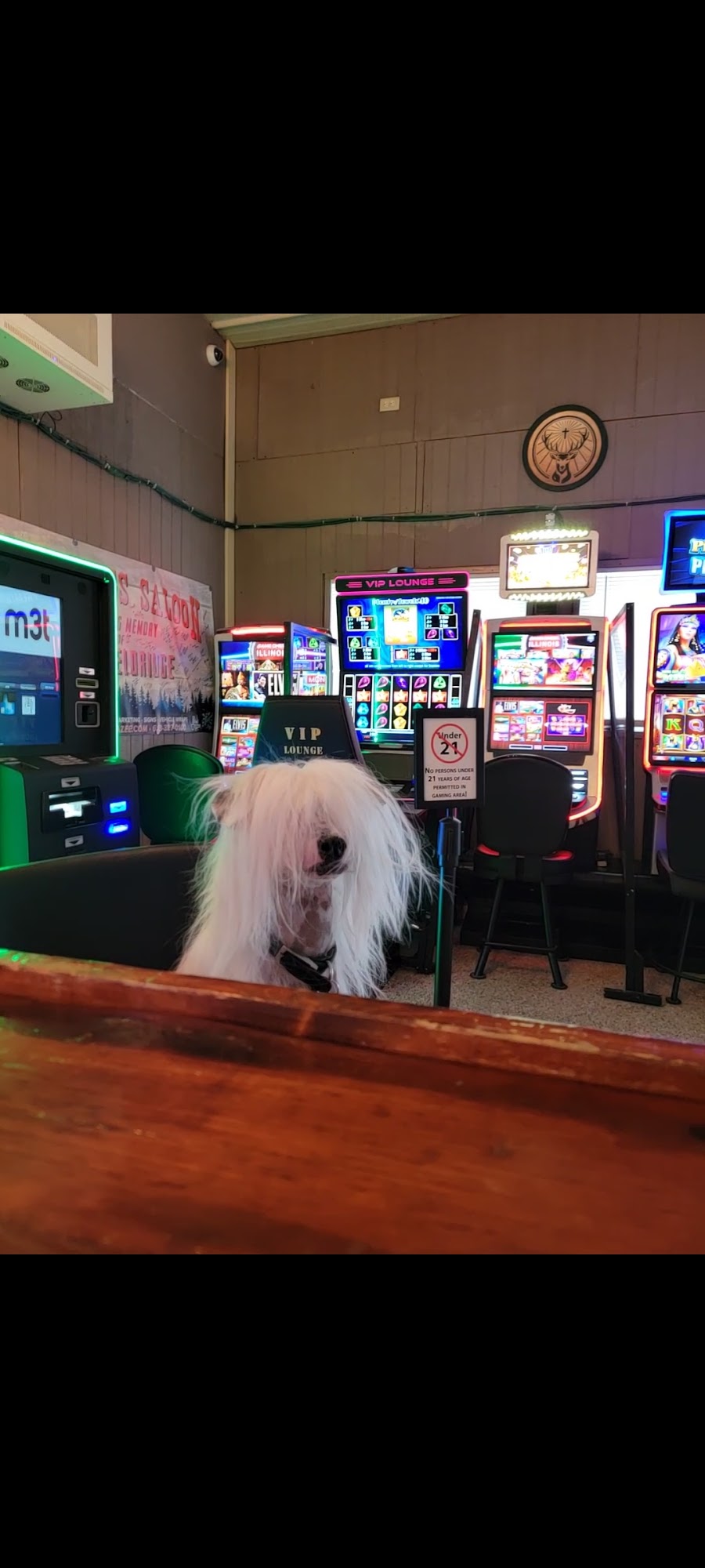 Coon Dog's Saloon