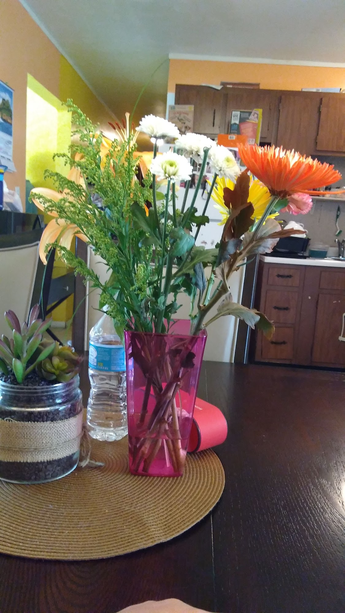 4 Paws Dog Grooming & Training DeKalb