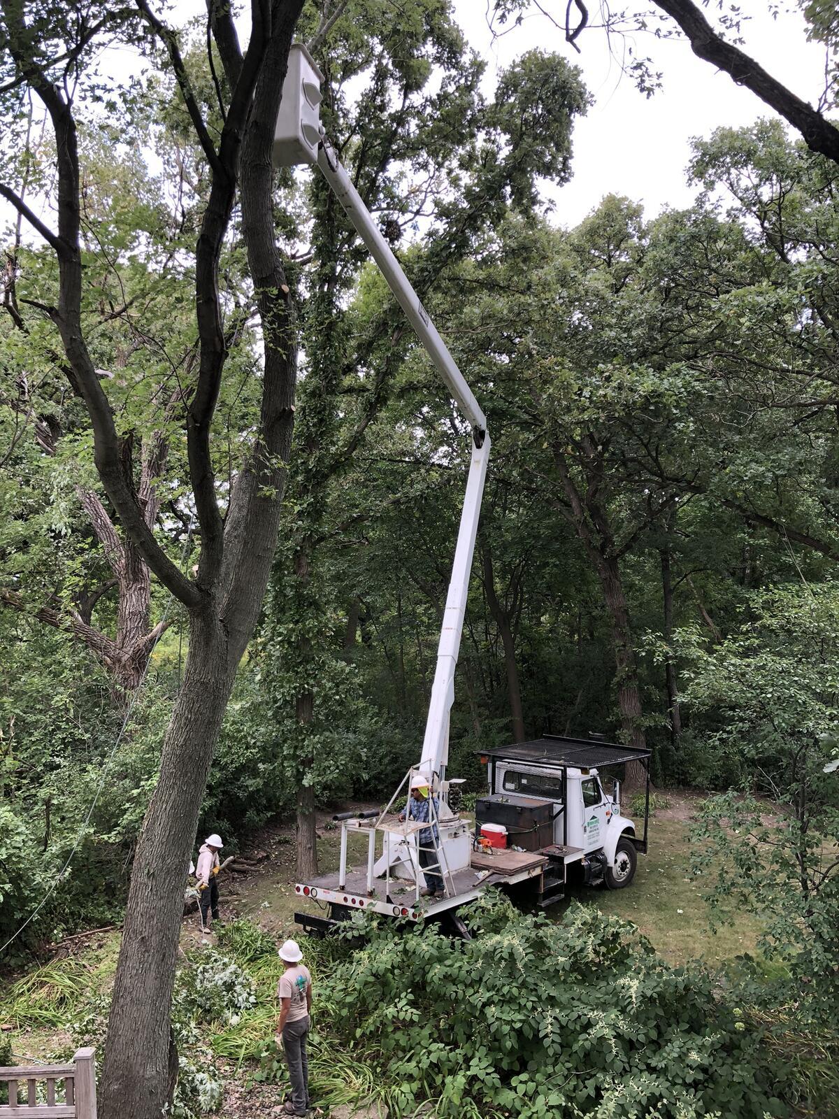 Photo credit: nextdoor