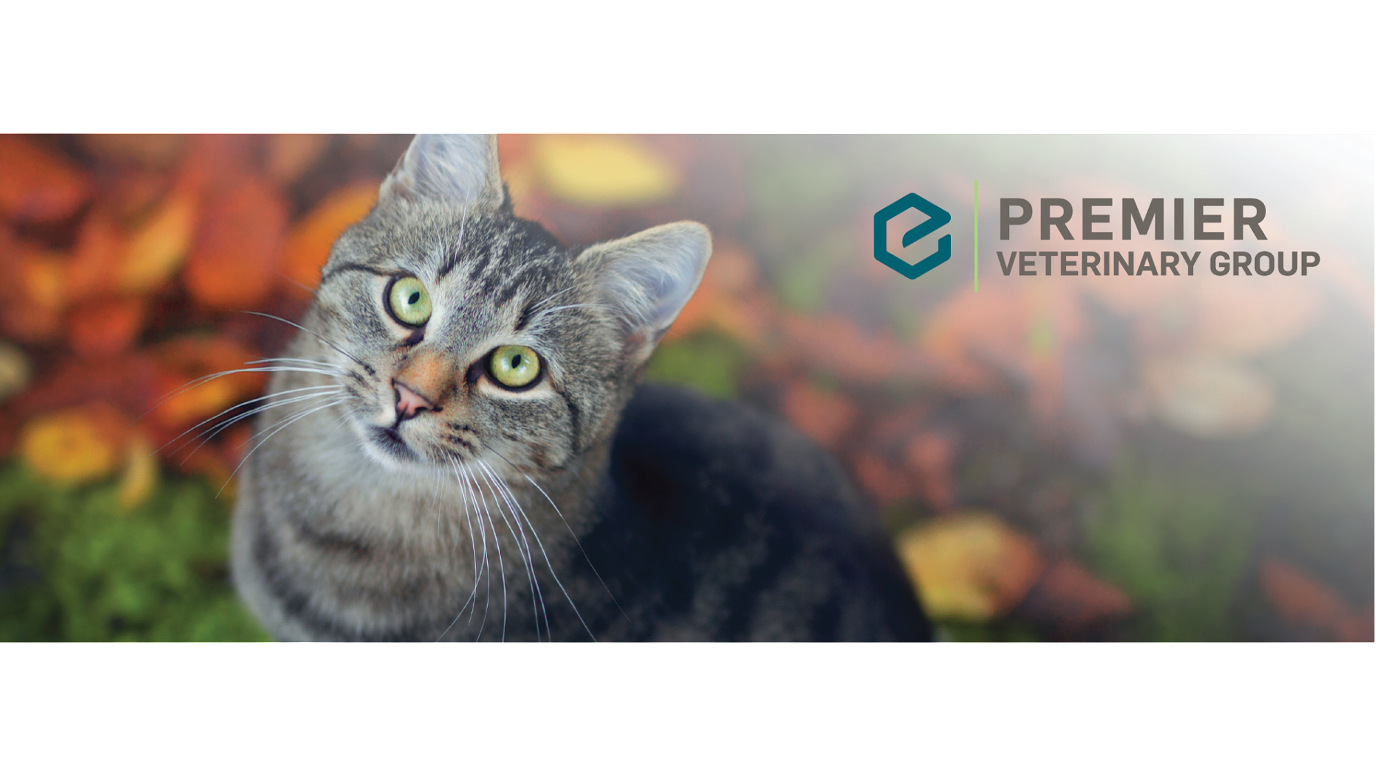 Premier Veterinary Group - Grayslake