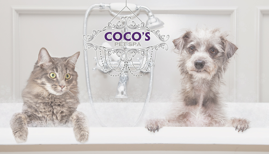 Coco's Pet Spa